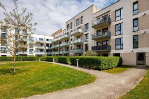 BILD_5489902-jhCGu74MBxvoJQtXDzQSaNJ9-_ (16).jpeg