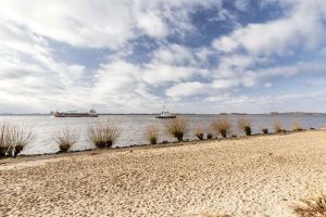 BILD_1172588-aP8X5TPLhikH49zZGRWQtFKs-Elbe_Blankenese 2.exp.jpg